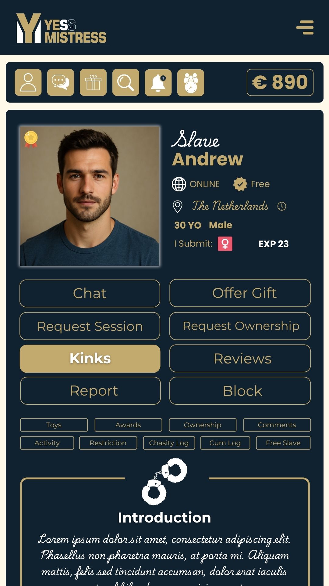 YessMistress platform